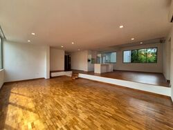 Nassim Regency (D10), Condominium #555011401